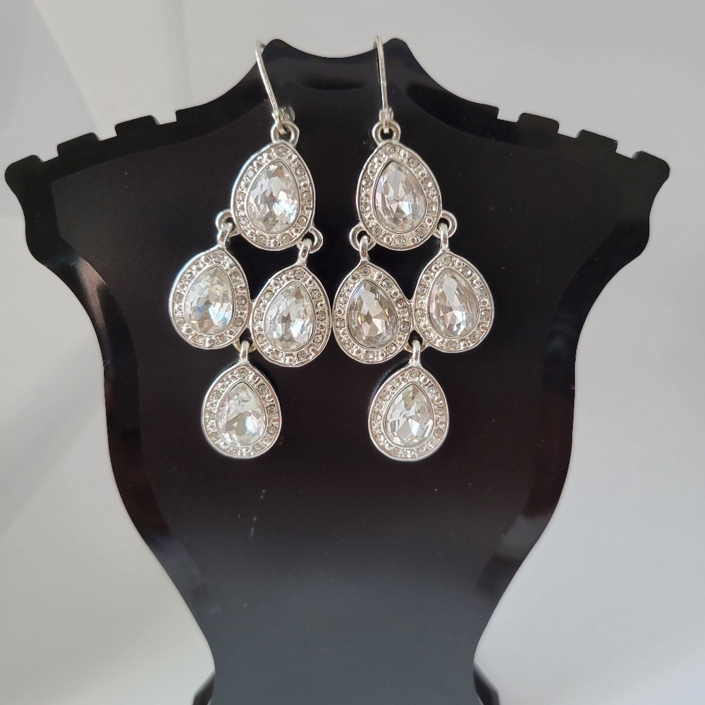 Gorgeous Silver Plated Earrings